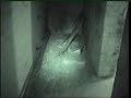 DAYLIGHT VISIT TO HAUNTED AIRFIELD