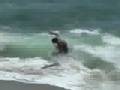 laguna skim