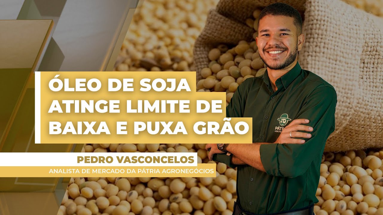 Óleo de soja atinge limite de baixa e puxa preços do grão para baixo nesta quinta-feira (15)