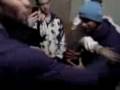 videos de banish punching adrena 1/2