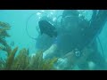 Diving in Bali 6