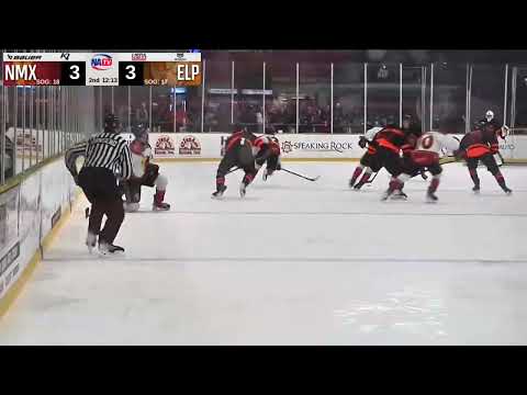 Big Hit Vs New Mexico Ice Wolves