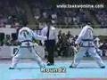 Tae Kwon Do sparring