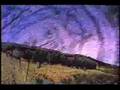 Coil-Dark River