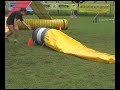 Leo_Vivien USDAA Steeplechase Tournament