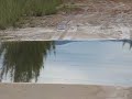 VERGONHA PARA QUEM AMA A PRAIA BARRA DE IBIRAQUERA