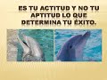 Mejora tu actitud positiva