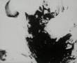 Aphex Twin-Selected Ambient Works Vol.II  [bluecalx]