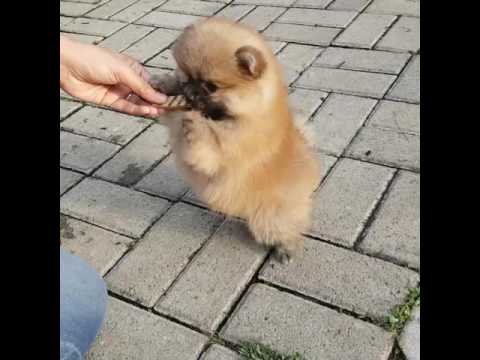 Pretty on action - please enjoy my video