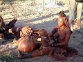 The Himba People The Himba People
