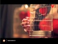 Steal Ur Girlfriend - Promo 1 Video