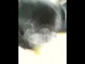 ｎｅｒｏさん激怒！の巻