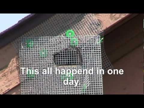 how to get rid of squirrels in vent