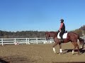 Luke Dressage Lesson