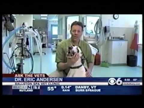 how to relieve dog bloat