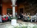 Borboleta Morelia