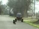 Dog Chasing me