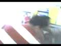 videos de MVP - Varsity - Jude