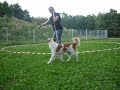 Longieren Karina & Kira