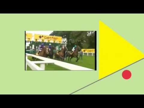 horse racing