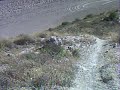 descenso trialera en bici antenas geria descenso trialera en bici antenas geria