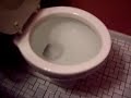 who clogged the toilet?