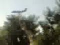 UFO A GRAGNANO (REALE)