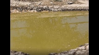 دار صلاح تناشد عبر وطن لحل مشكلة الصرف الصحي فيها