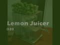 lemon juicer d20.wmv