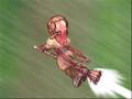 Funny Little Video
