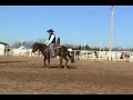 Reining and Cowhorse Futurity Prospect Reining and Cowhorse Futurity Prospect