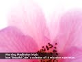 Preview: Morning Meditation Music