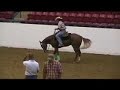 Keith Whistle & She Just Did It- 2008 APHA World Show