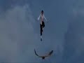 Kung Fu Hustle Fight Scene