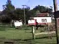 castracion de ternero parte 3