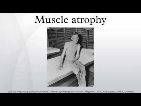 how to rebuild muscle after wasting away