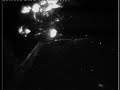 Bioluminescence in the Porucpine Seabight