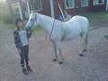 videos de My Pony Molly