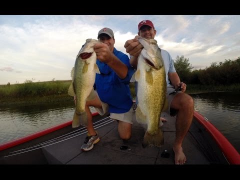 how to locate bass