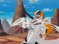 Bleach-The Bird and the Worm