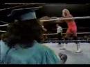 Mr Perfect Tribute