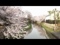 Click here to watch this video NEXT近江八幡＿１