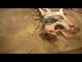 Nice Catfight - Babe in Pantyhose Vs Chick in a Dress -