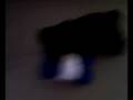 videos de shelly presents bentley