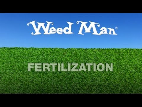 how to fertilize weed