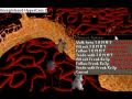 Runecape Private Server (Project Catastrophe)