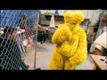 Mythbusters - Tweet Kari Byron