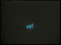 Luminescent Creatures  *FaNtAsTiC*