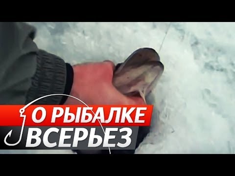 YouTube Трейлер