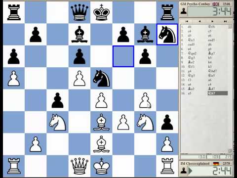 chess knight